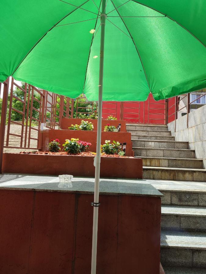 Apartament Garsoniera Alex